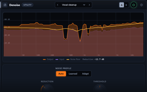 Denoise plugin interface